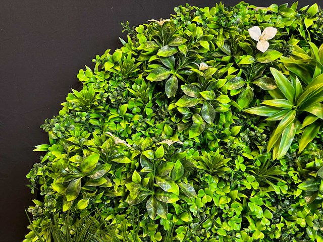 Royal pachira wand paneel rond (5x) - afbeelding 6 van  11