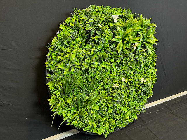 Royal pachira wand paneel rond (5x) - afbeelding 8 van  11