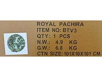 Royal pachira wand paneel rond (5x) - afbeelding 5 van  13