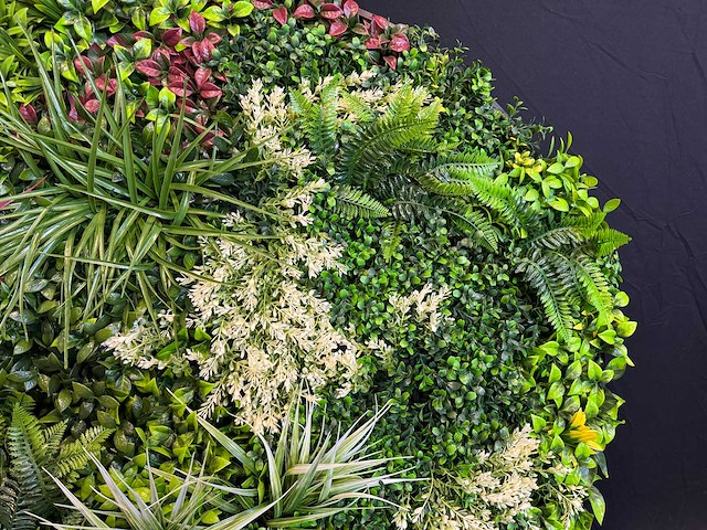 Royal pachira wand paneel rond (5x) - afbeelding 9 van  13