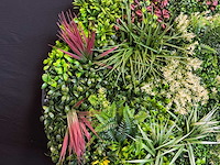 Royal pachira wand paneel rond (5x) - afbeelding 3 van  13