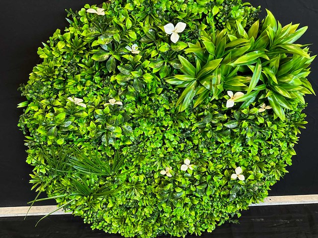 Royal pachira wand paneel rond (5x) - afbeelding 9 van  11