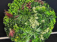 Royal pachira wand paneel rond (5x) - afbeelding 4 van  13