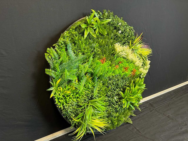 Royal pachira wand paneel rond (5x) - afbeelding 11 van  12