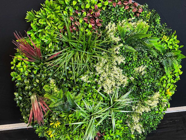 Royal pachira wand paneel rond (5x) - afbeelding 4 van  13