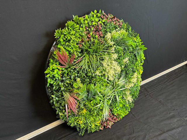 Royal pachira wand paneel rond (5x) - afbeelding 13 van  13