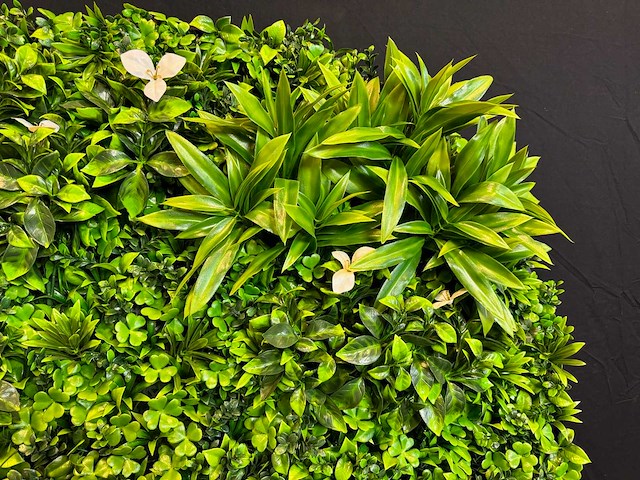 Royal pachira wand paneel rond (5x) - afbeelding 2 van  11