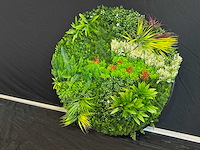 Royal pachira wand paneel rond (5x) - afbeelding 7 van  12