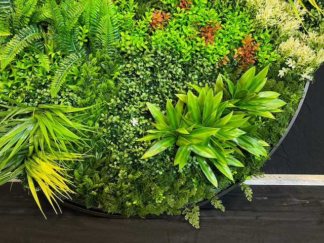 Royal pachira wand paneel rond (5x) - afbeelding 10 van  12