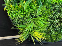 Royal pachira wand paneel rond (5x) - afbeelding 12 van  12