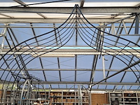 Rozenboog - afbeelding 6 van  8