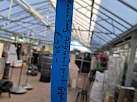 Rozenboog - afbeelding 8 van  8