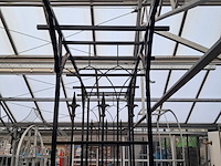 Rozenboog - afbeelding 4 van  14