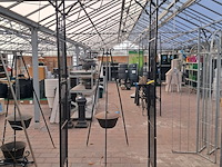 Rozenboog - afbeelding 1 van  14