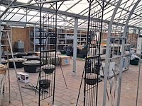 Rozenboog - afbeelding 7 van  14