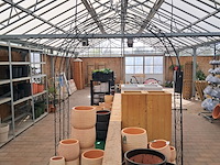 Rozenboog - afbeelding 2 van  7