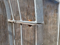 Rozenboog - afbeelding 5 van  5