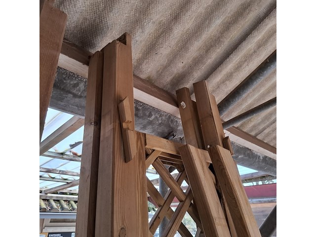 Rozenboos grenen - afbeelding 2 van  3