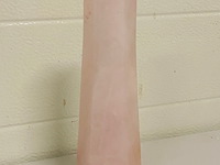 Rozenkwarts obelisk - afbeelding 4 van  6