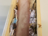 Rozenkwarts obelisk - afbeelding 5 van  6