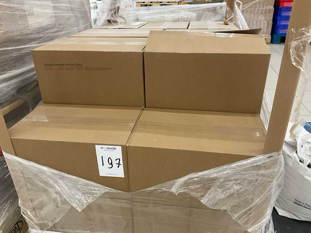Rozijnen superba medium 12.5kg (25x) - afbeelding 1 van  2