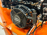 Rte - 2025 - 6780 - houthakselaar - afbeelding 4 van  4