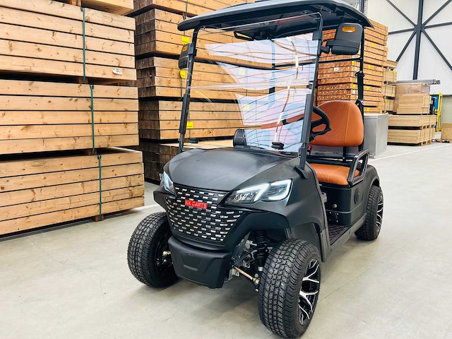 Rte - golfkar met opslagbox - afbeelding 5 van  19