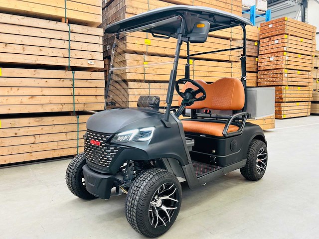 Rte - golfkar met opslagbox - afbeelding 1 van  18