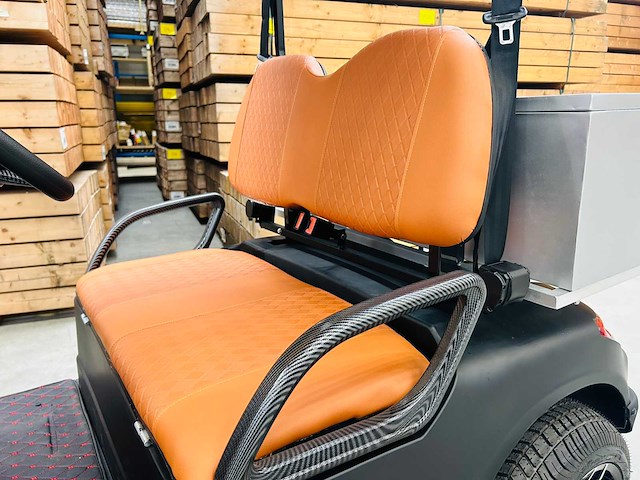 Rte - golfkar met opslagbox - afbeelding 9 van  22