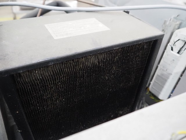 Rubbens - afbeelding 10 van  11