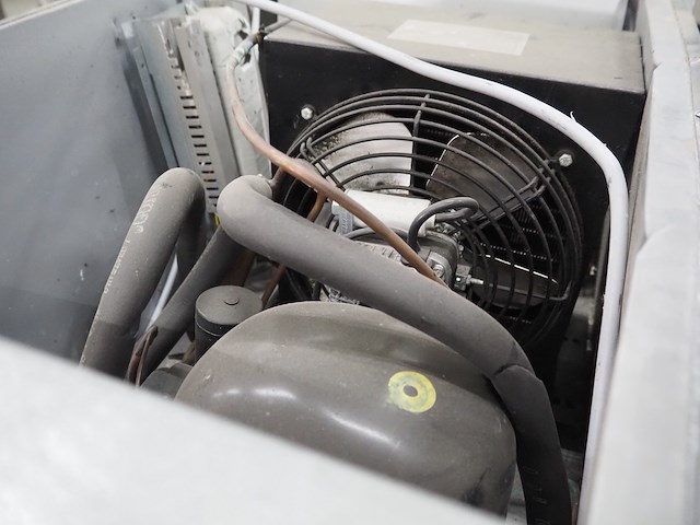 Rubbens - afbeelding 11 van  11