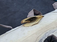 Rubberboot, p1, zapcat - afbeelding 26 van  34