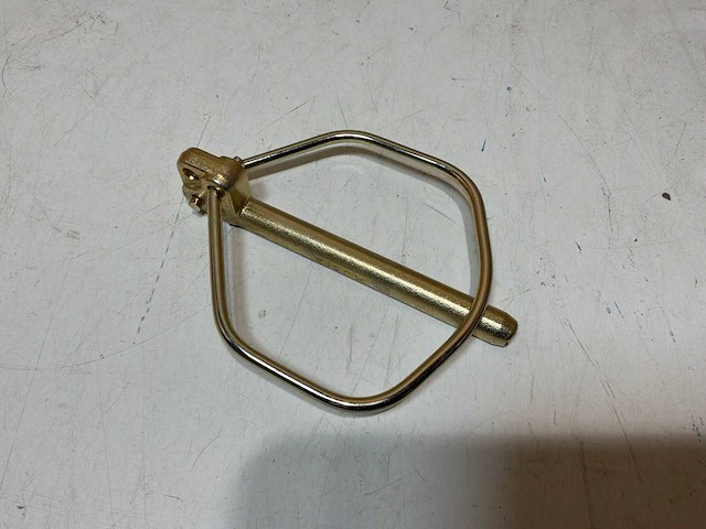 Rubig borgpen 12x100 (175x) - afbeelding 2 van  5