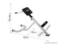 Rug-/buiktrainer 6 standen - afbeelding 2 van  7