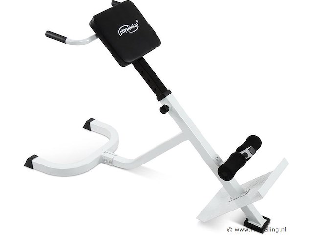 Rug-/buiktrainer 6 standen - afbeelding 1 van  7