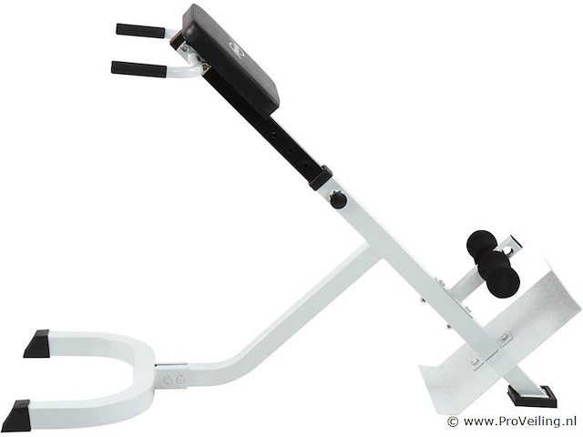 Rug-/buiktrainer 6 standen - afbeelding 3 van  7