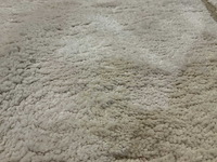 Rugvista essentials bahia 340x240cm vloerkleed - afbeelding 4 van  5