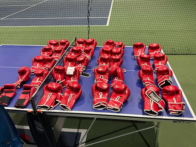 Rumble boks handenschoen per paar (19x) - afbeelding 1 van  6