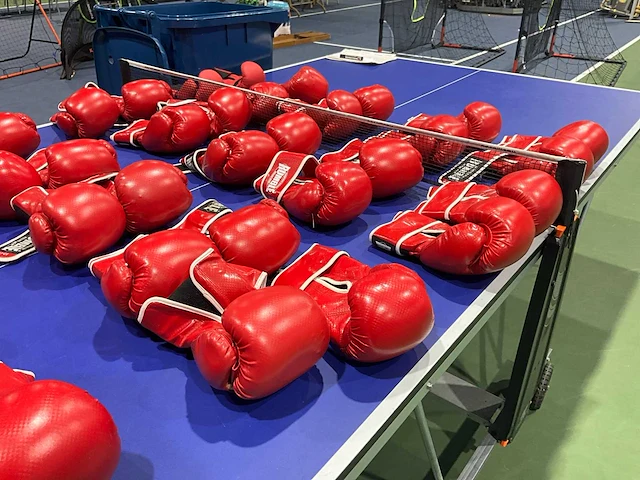 Rumble boks handenschoen per paar (19x) - afbeelding 5 van  6