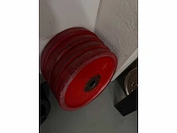 Russian olympics halterschijf (4x)
