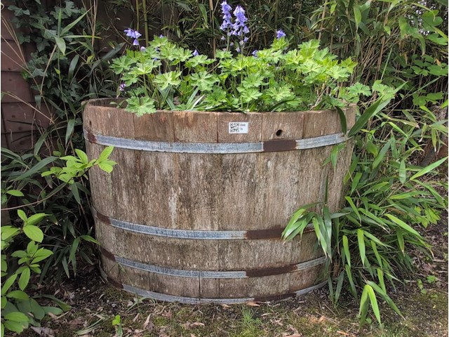Rustieke plantenbak - afbeelding 1 van  5