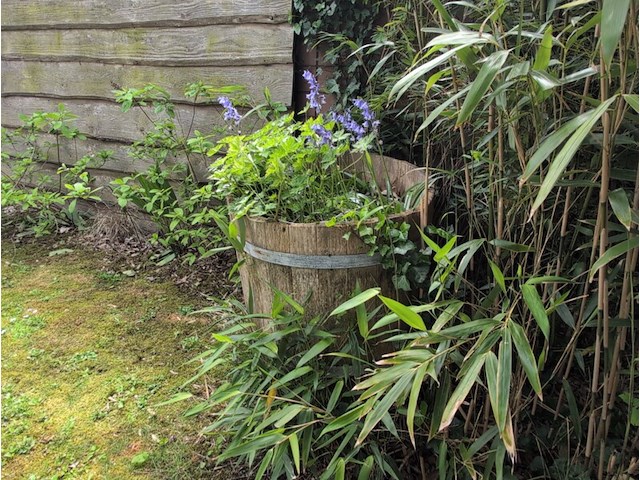 Rustieke plantenbak - afbeelding 4 van  5