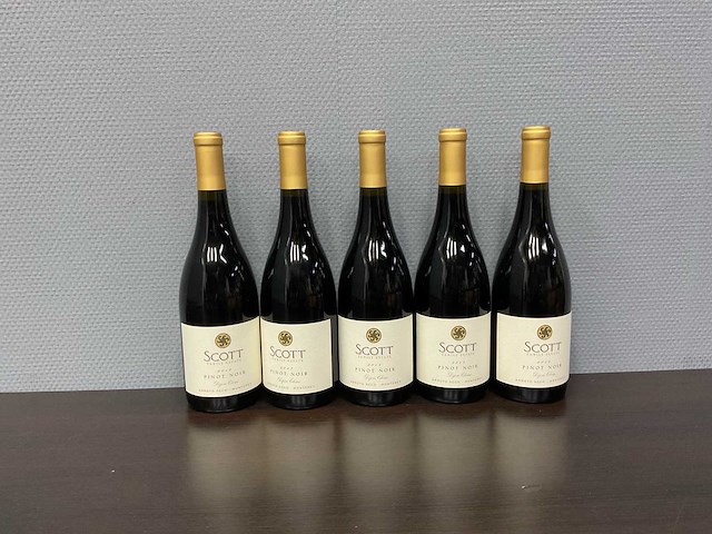 Rutherford scott family arroyo seco pinot noir 2017 (5x) - afbeelding 1 van  4