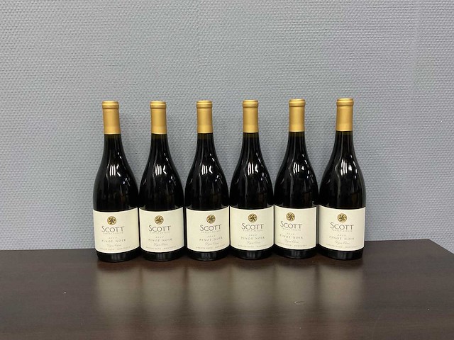 Rutherford scott family arroyo seco pinot noir 2017 (6x) - afbeelding 1 van  4