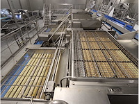 Rvs aardappelsorteer inrichting - afbeelding 3 van  7