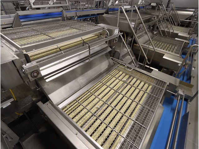 Rvs aardappelsorteer inrichting - afbeelding 4 van  7