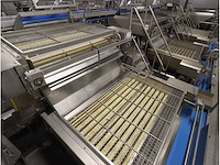 Rvs aardappelsorteer inrichting - afbeelding 4 van  7