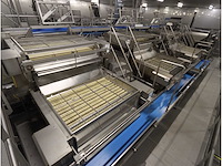 Rvs aardappelsorteer inrichting