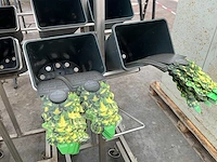 Rvs etiketten wagen (6x) - afbeelding 4 van  4