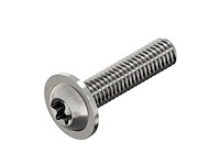 Rvs flenskopschroeven iso 7380-2 m6x45 t30 (216000x)
